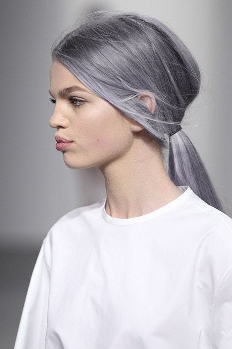 grey hair simple low pony tail