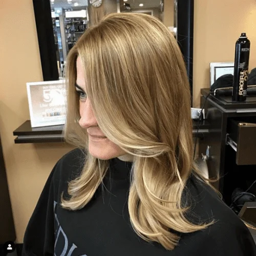 Light Brown Hair with Blonde Shade Highlights