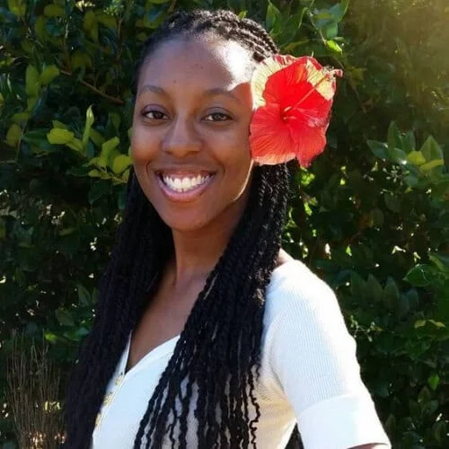 Long Romantic kinky twist hairstyles