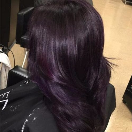 Black Mane with a Dazzling Hint of Dark Purple plum hair color