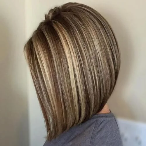 Brown hair With Blonde Highlights long