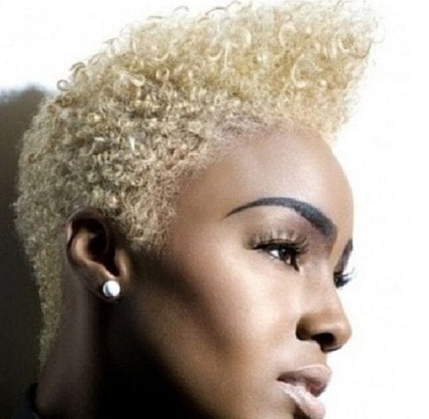 50 Delicioso Corte Pixie Rizado Ideas » Largo Peinados (483 x 472 Pixel)