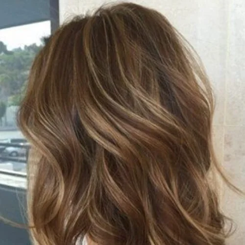 blonde on brown low highlights and lowlights