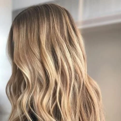 nutmeg blonde low highlights and lowlights