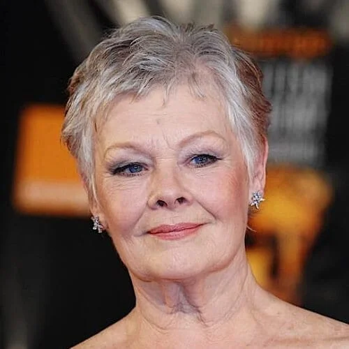 judi dench short haircuts for fine hair