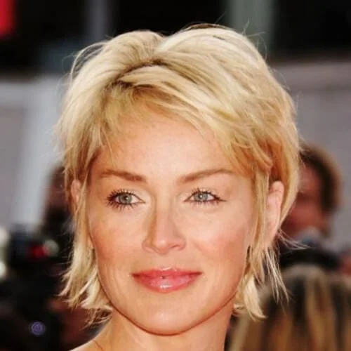 sharon stone shrot haircuts for fine hair