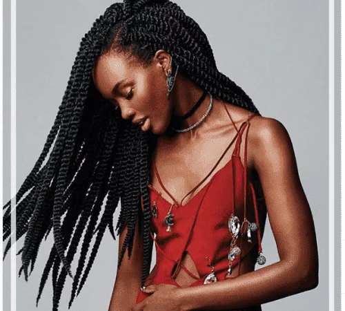 twist braids featured image