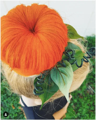 pumpkin bun