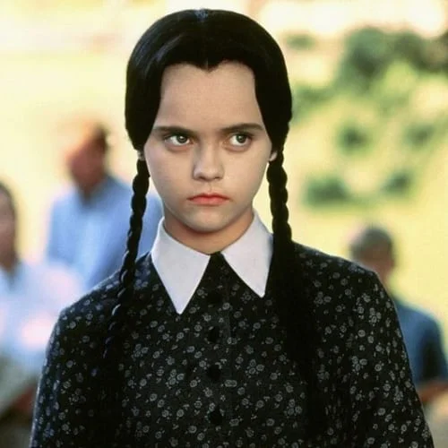 wednesday addams twin braids