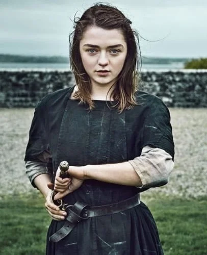 young arya stark halloween hairstyles