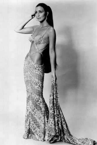 The Cher Sleek Straight Ultra-Long Hair