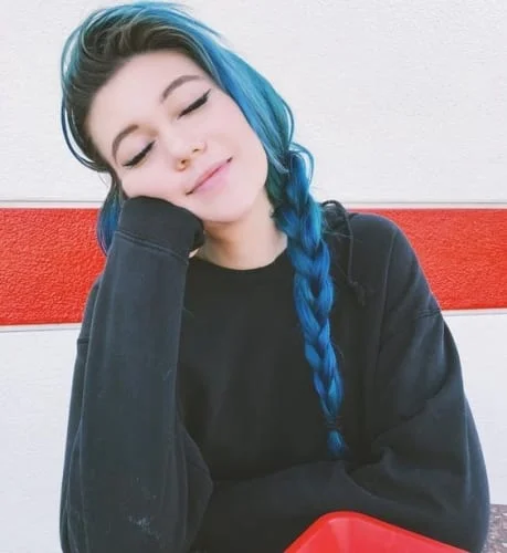 Blue black hair styled in a loose French braid showing dimension and color depth