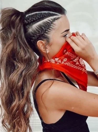 Braid And Ponytail Hairstyles