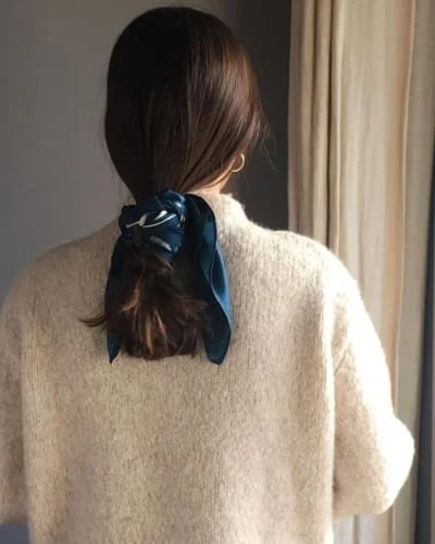 Ponytail Hairstyles For School